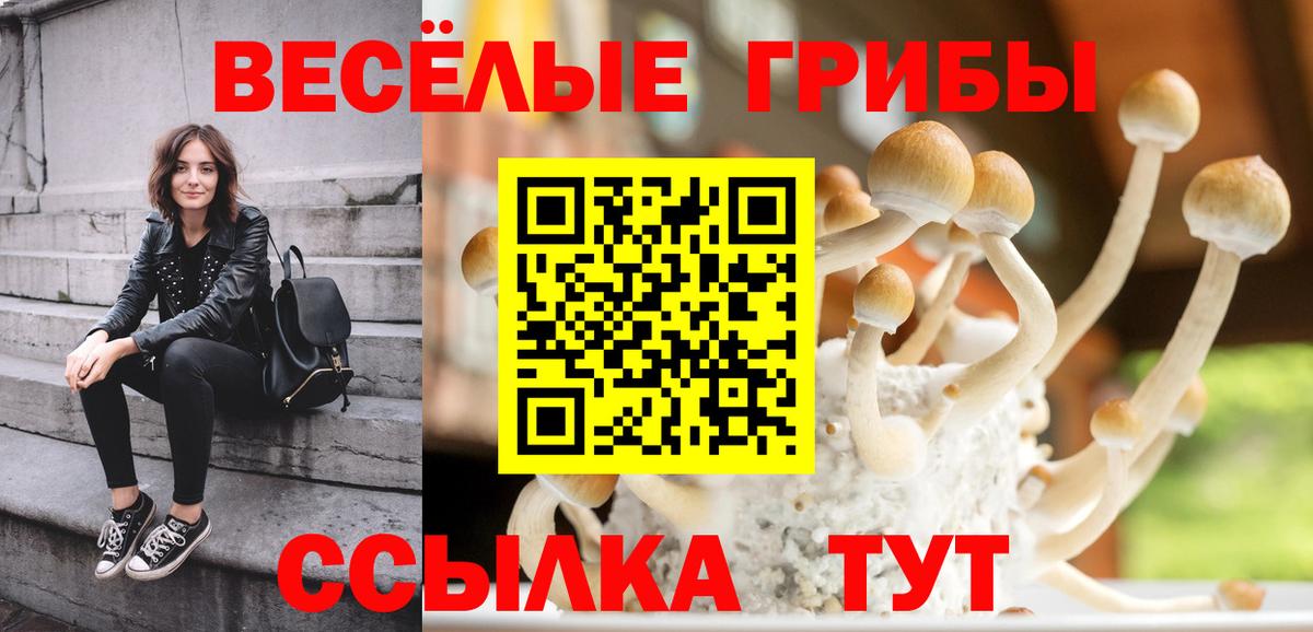 Острогожск  где найти   Вход с VPN  Галлюциногенные грибы MAGIC MUSHROOMS 